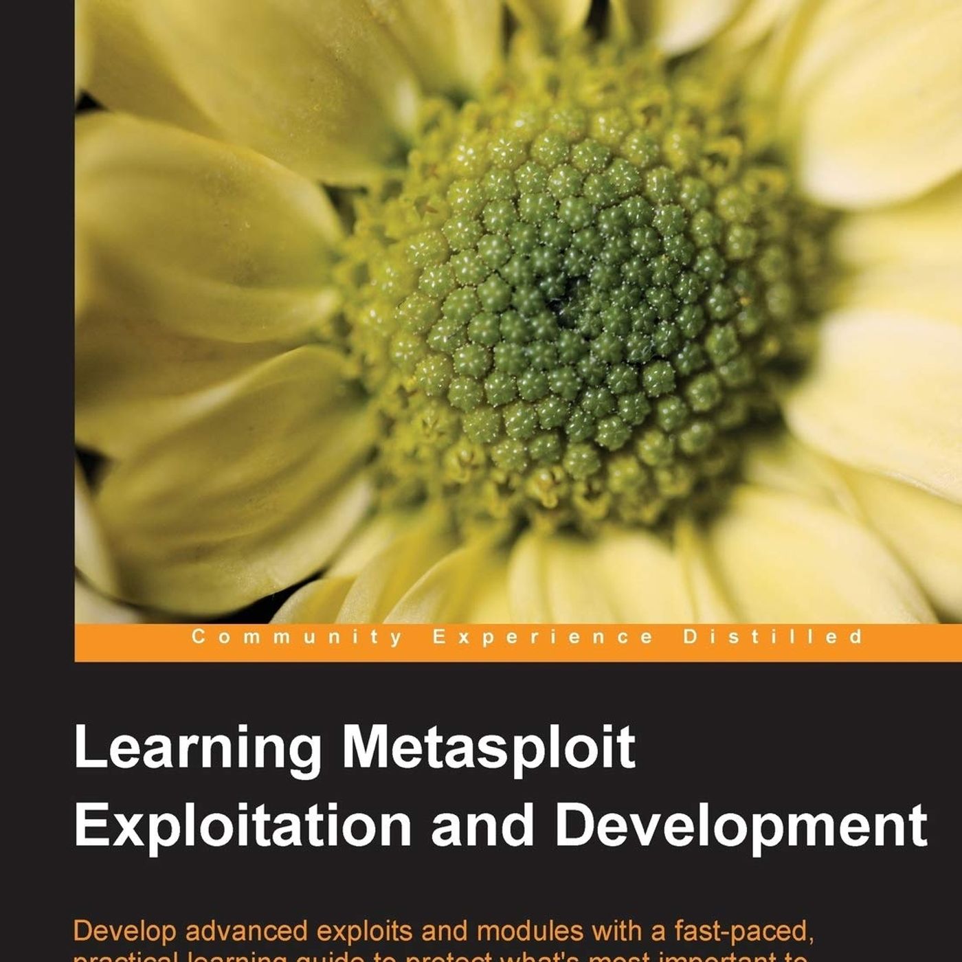 Learning Metasploit Exploitation and Development