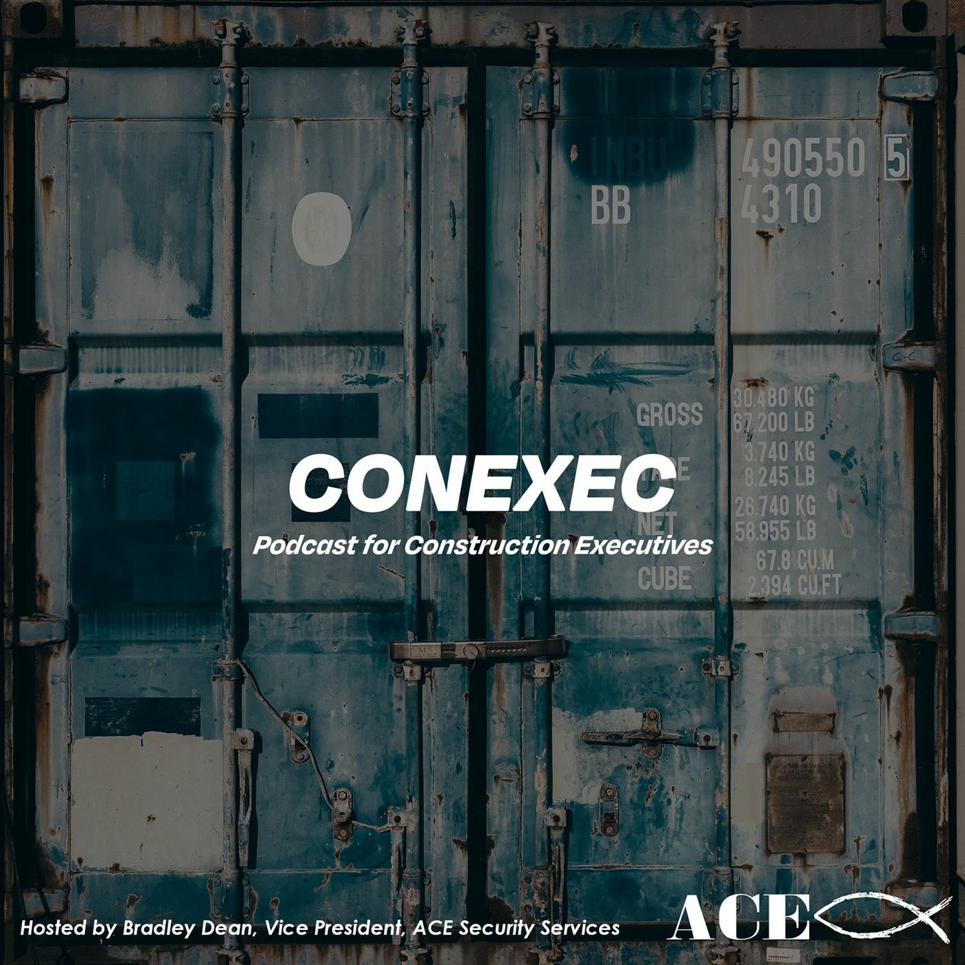 CONEXEC - ACE - CONSULTING