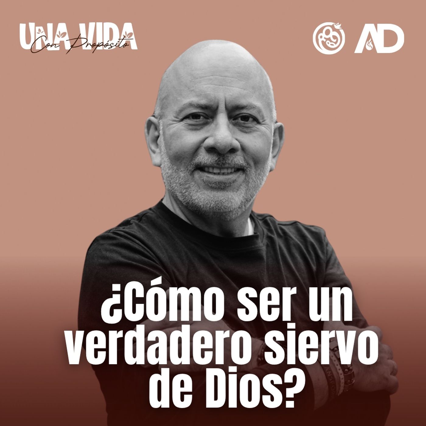Portada de Entre La Vida y la Biblia