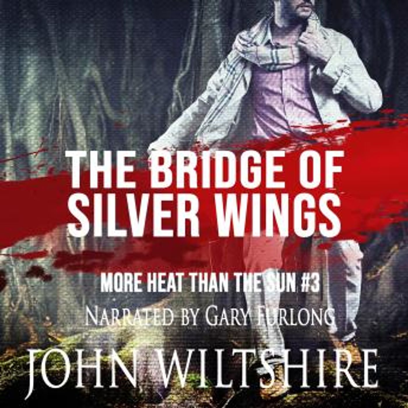 The Bridge of Silver Wings by John Wiltshire episode artwork