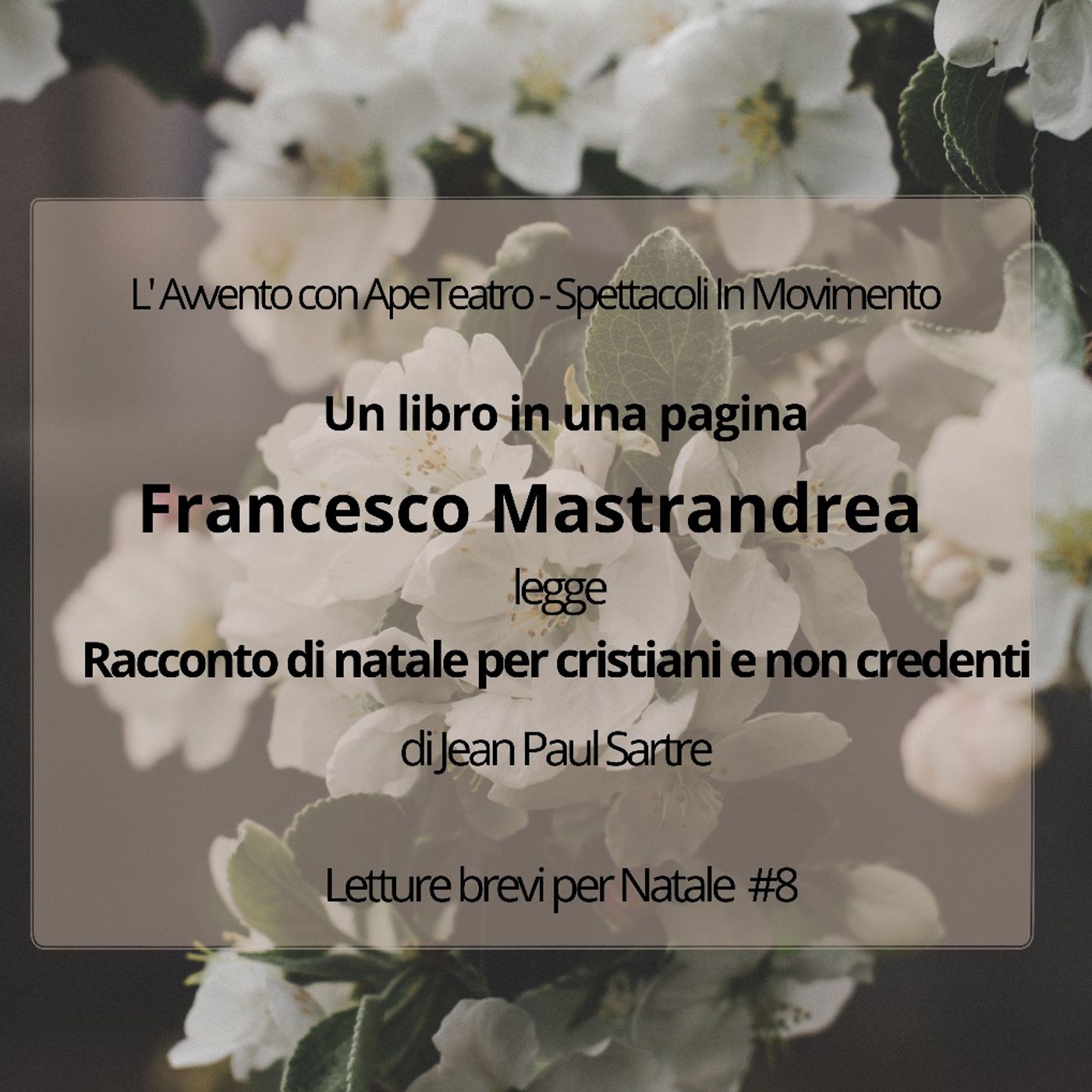 Un libro in una pagina.