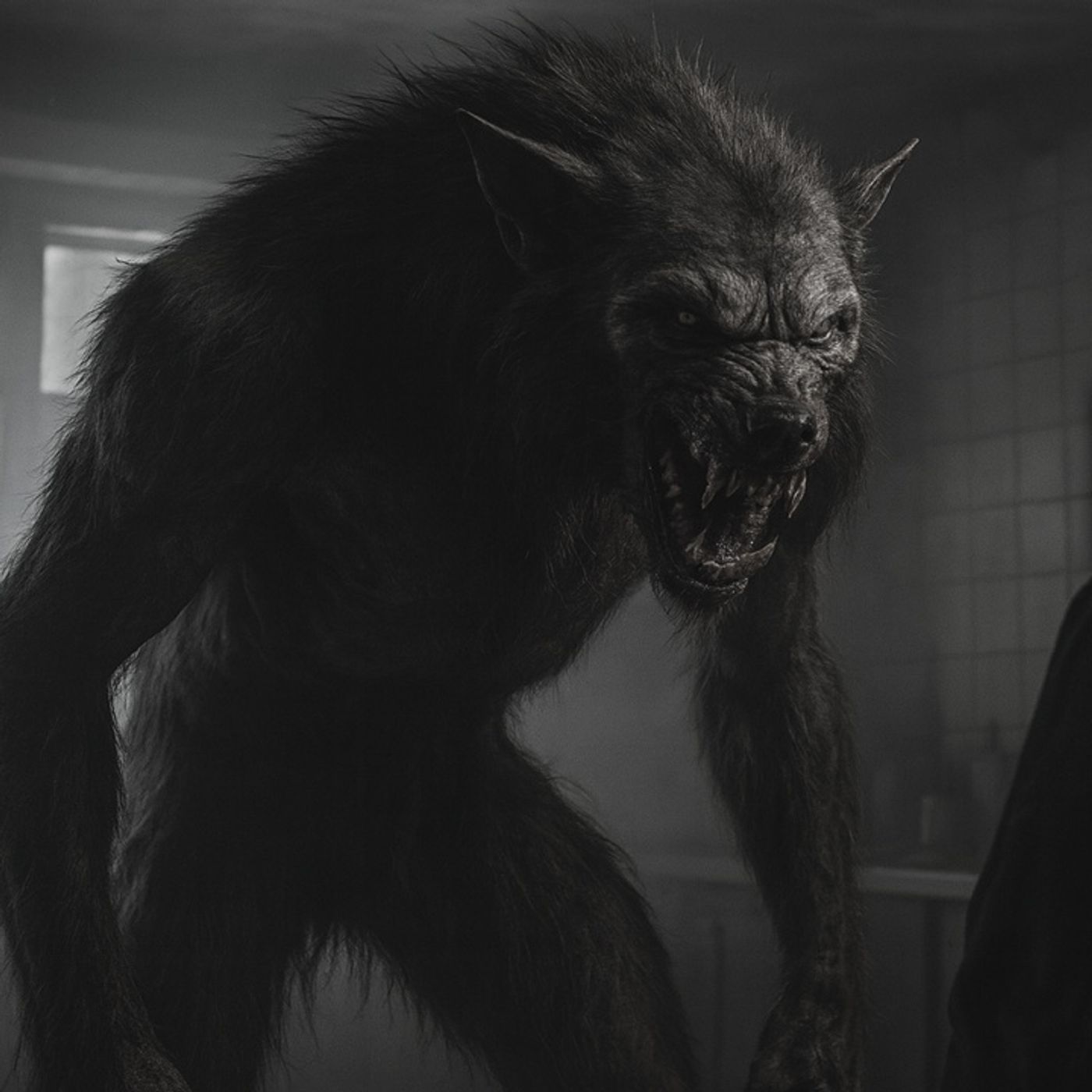 El Maestro Que Rompió El Pacto: La Noche Del NAHUAL - Historias De Terror - REDE