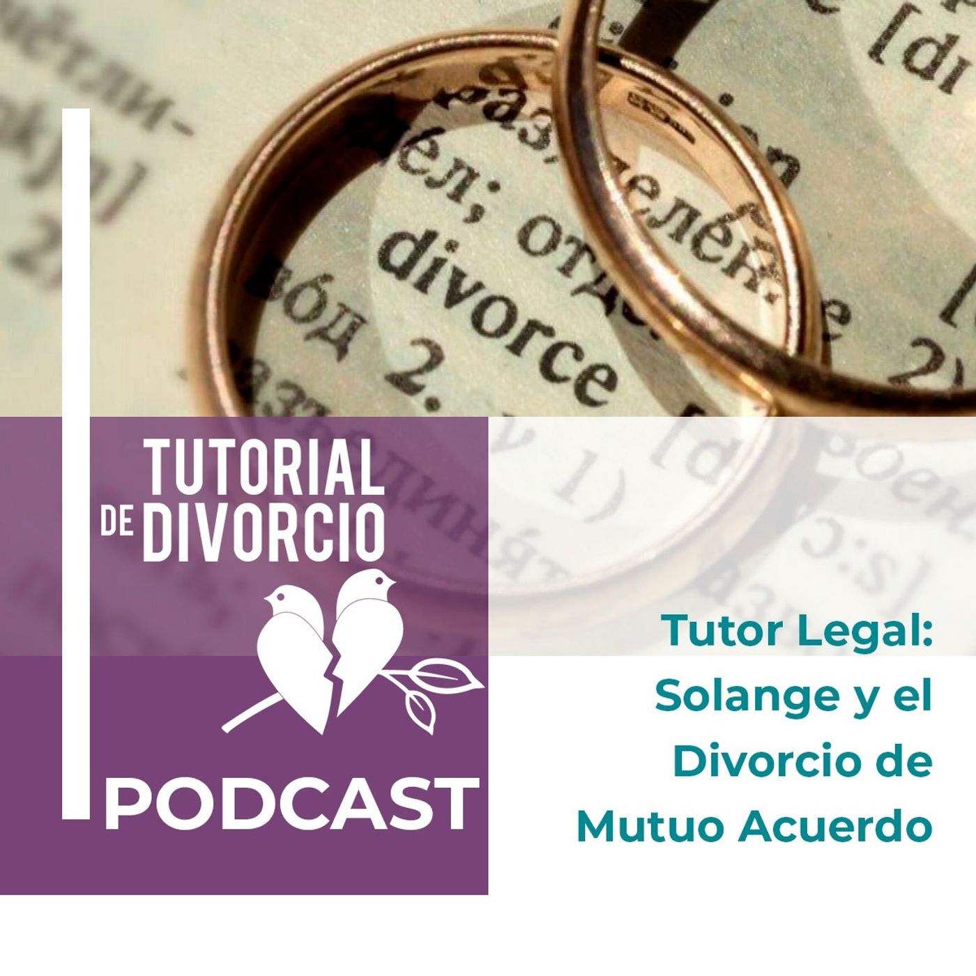 Tutor Legal: Divorcio de Mutuo Acuerdo Tutor Legal: Divorcio de Mutuo Acuerdo