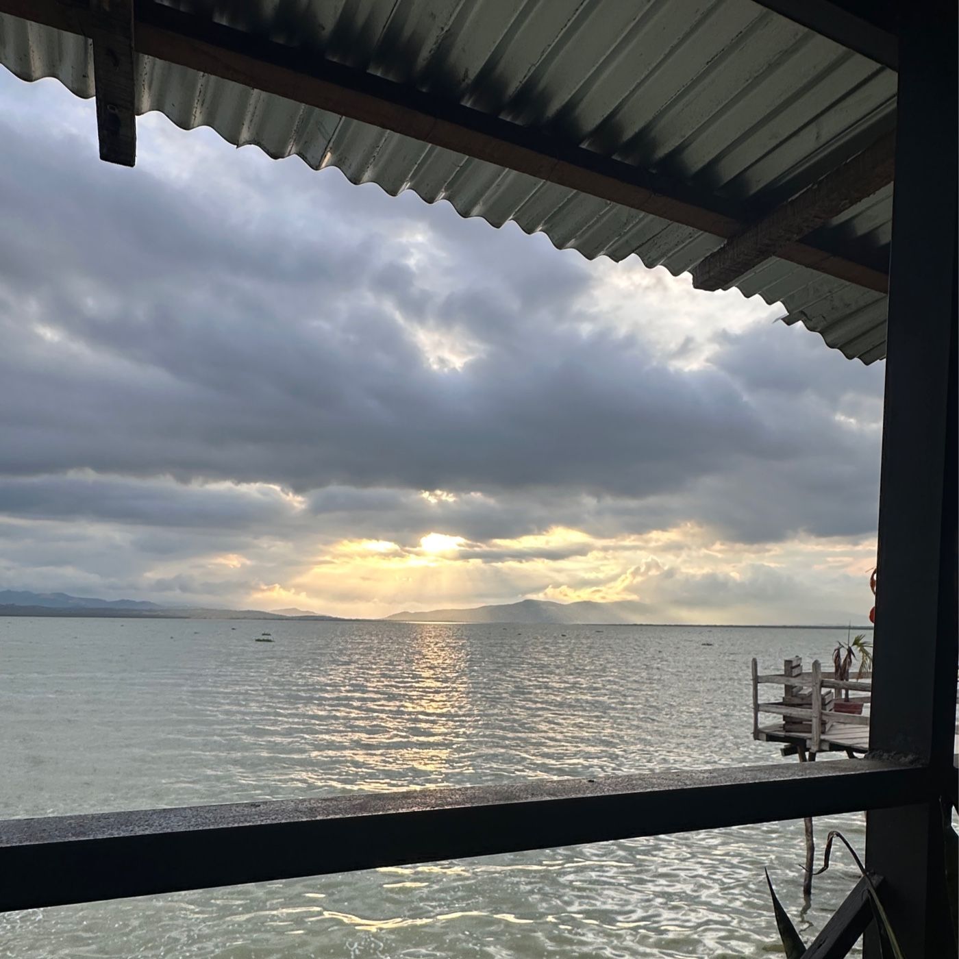 Entre la historia y la memoria