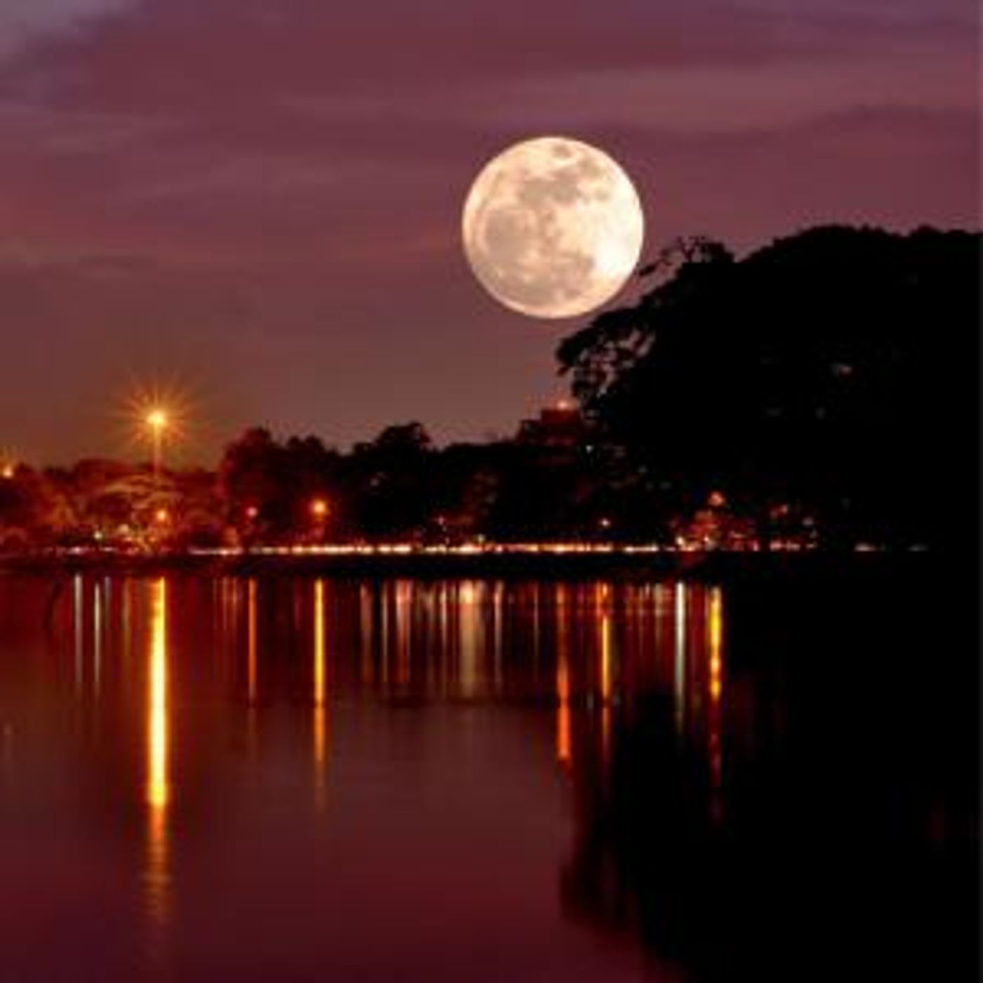 Tide to the Moon