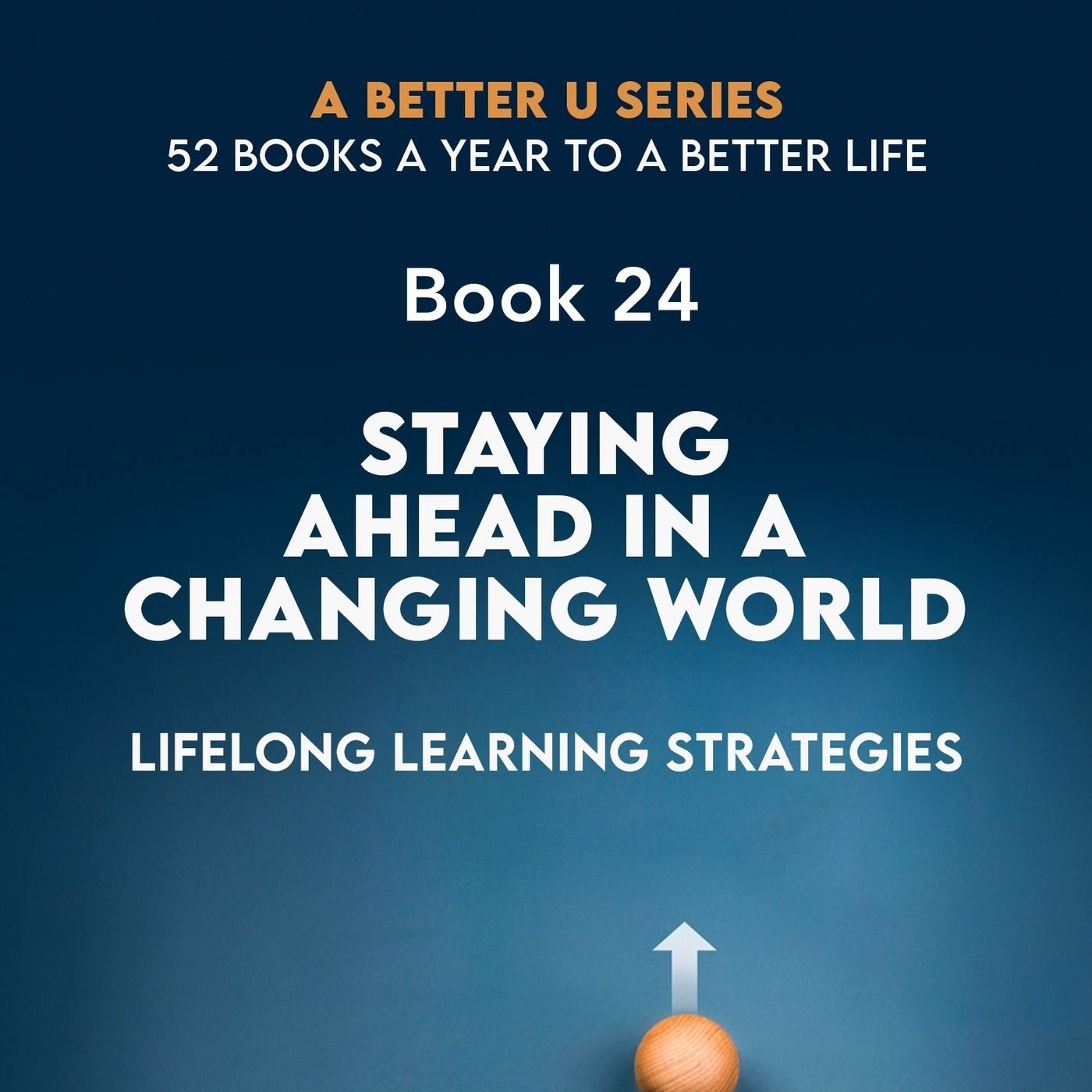 Revisiting Book 24: Staying Ahead In A Changing World : Lifelong Learning Strategies episode artwork