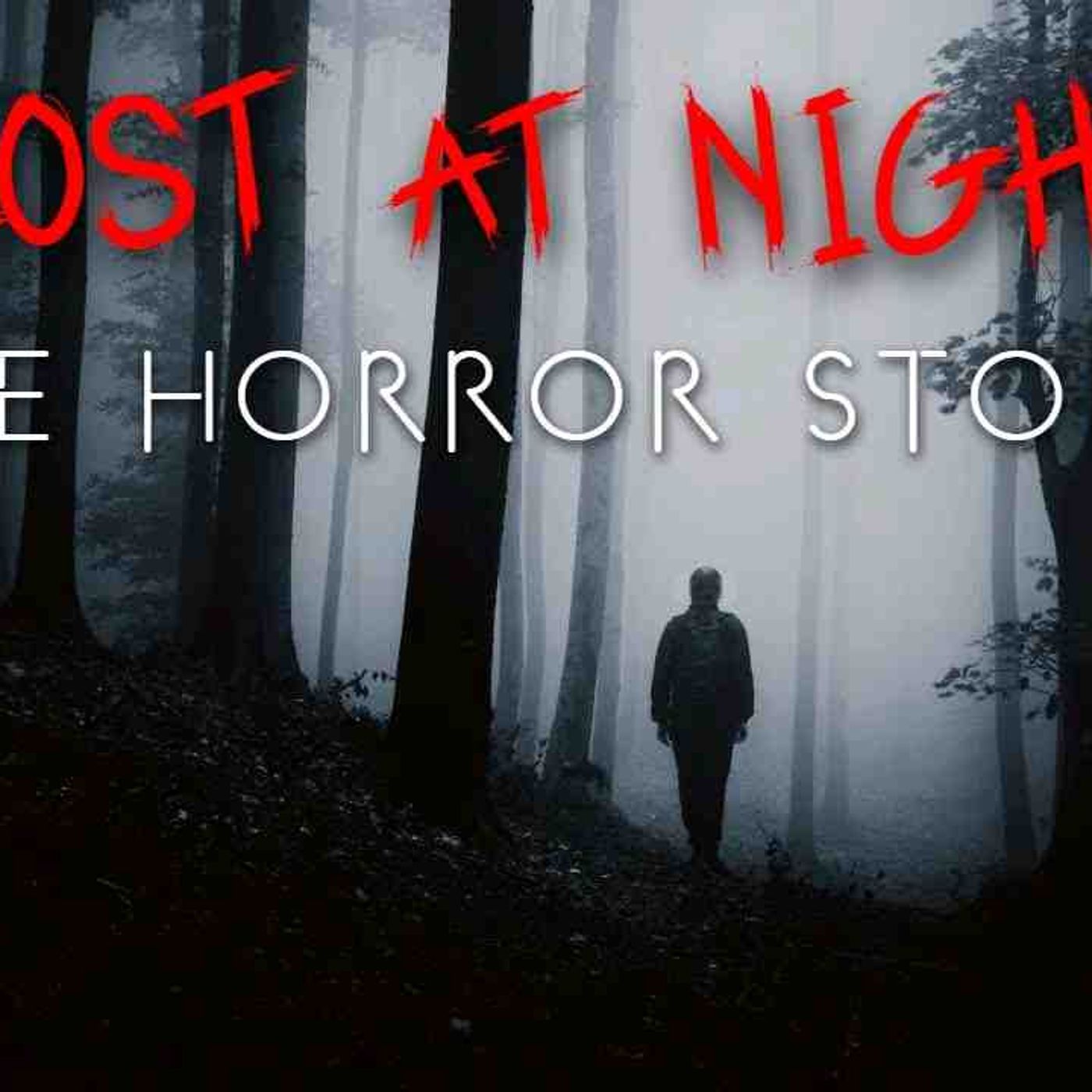 3 Terrifying Lost at Night Horror Stories