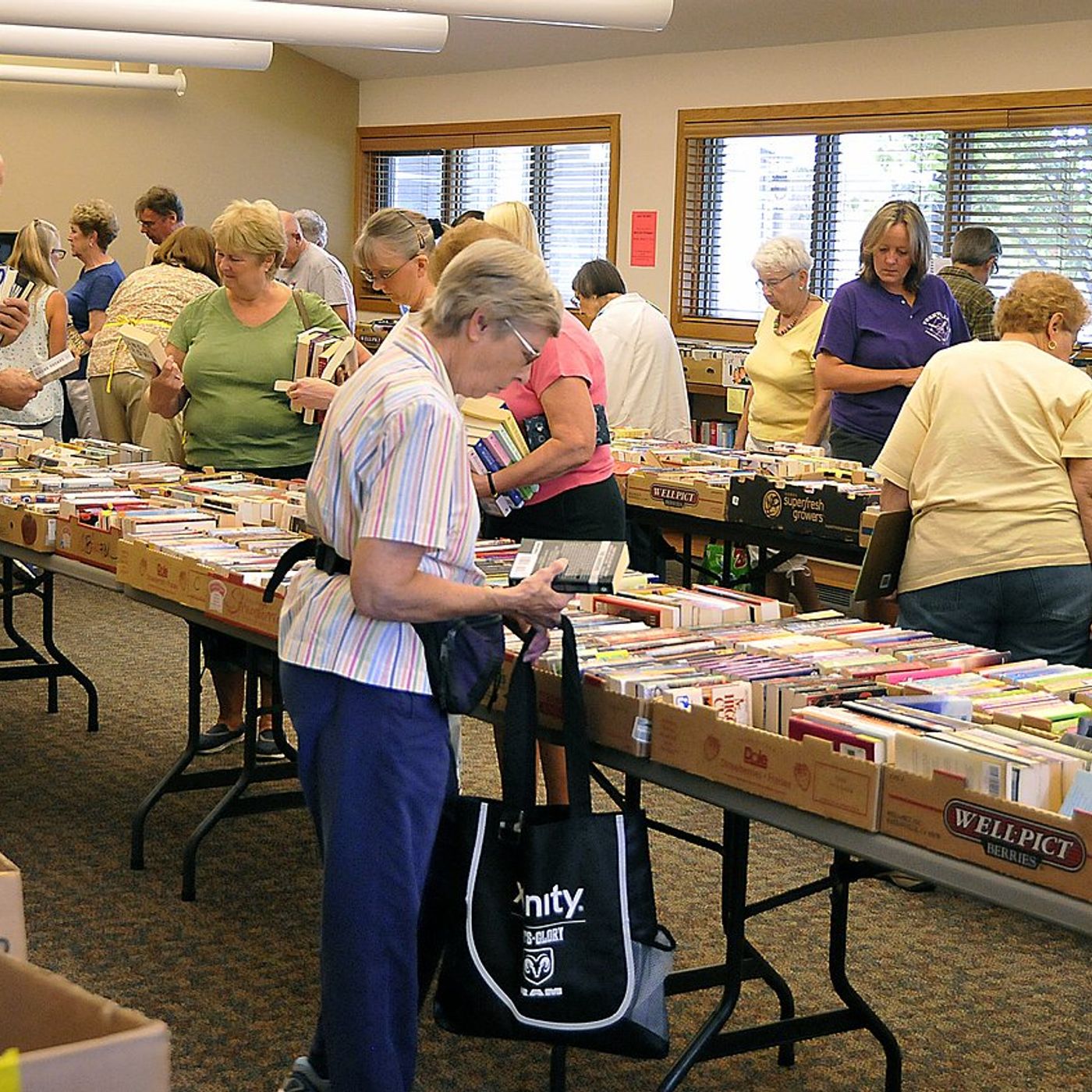 Yorkville library book sale will feature a raffle, too