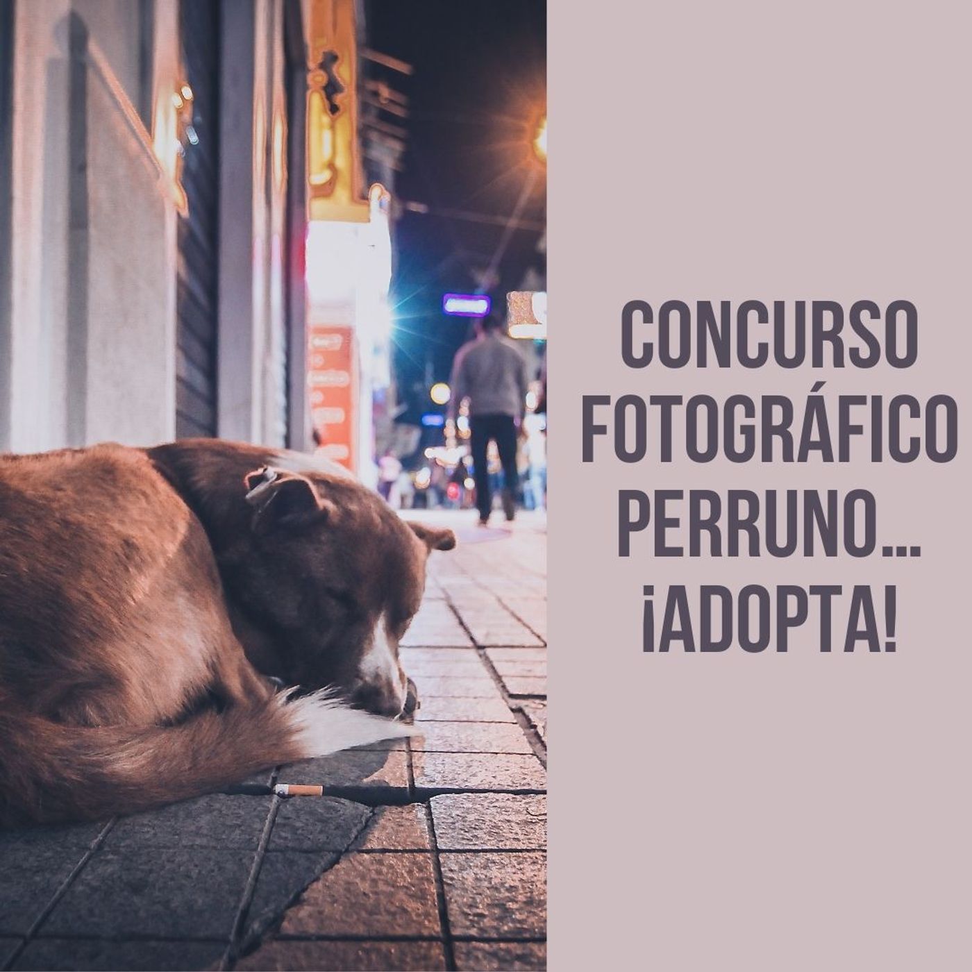 Academia de Fotógrafos