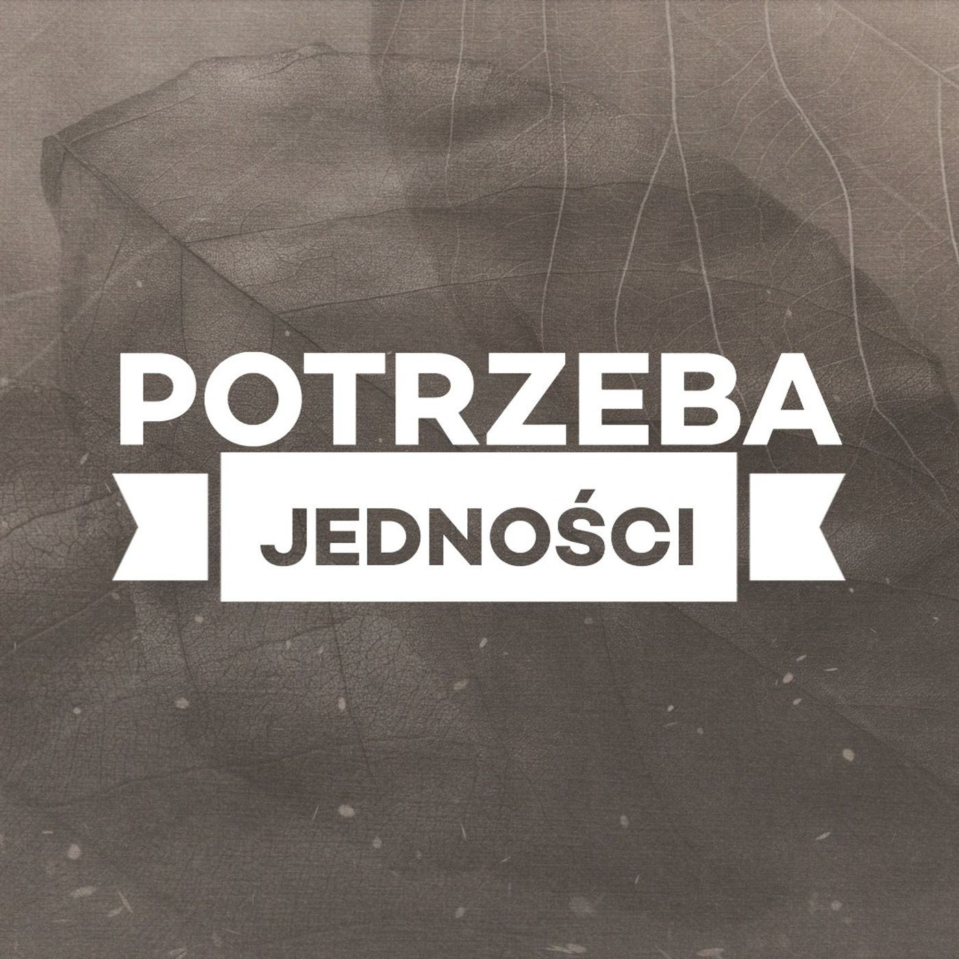 Potrzeba jedności - Leszek Dziadkowiec episode artwork