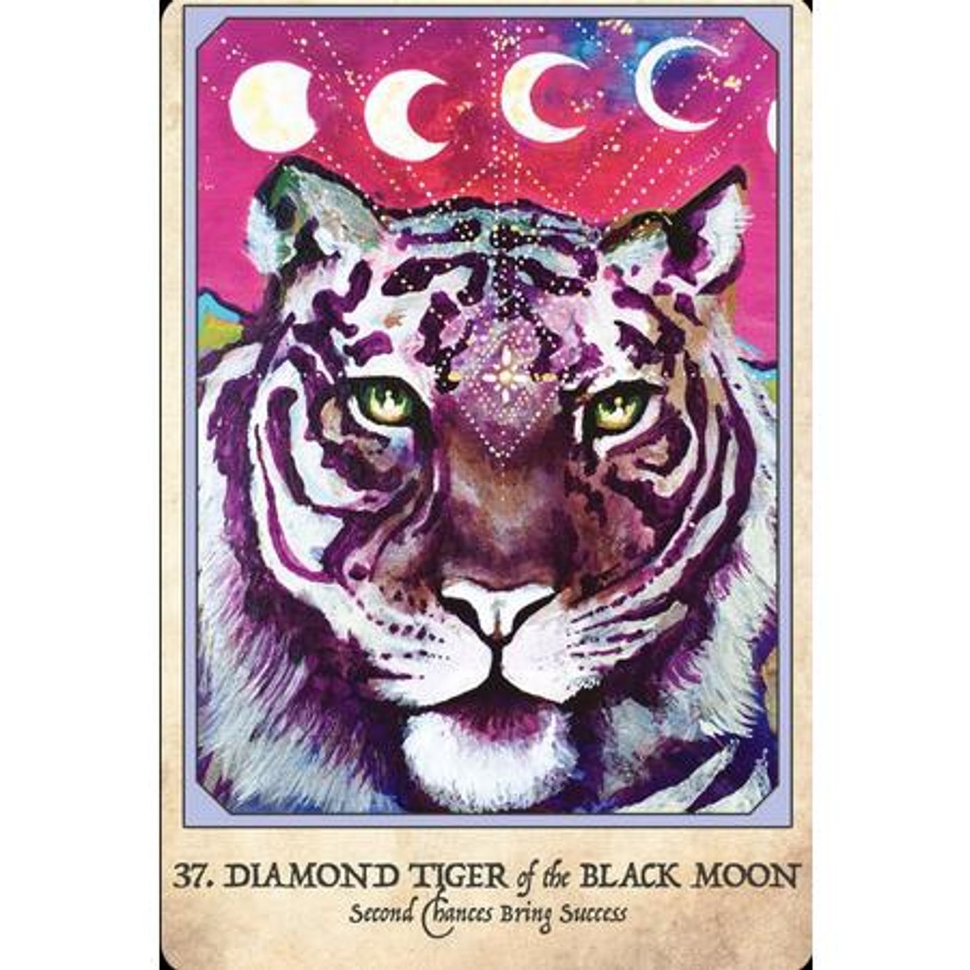 Lets Ask the Angels!