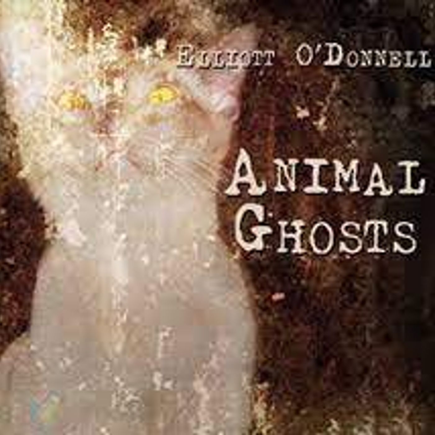 Animal Ghosts by Elliott ODonnell | Full Audiobook | Audiobook Time episode artwork