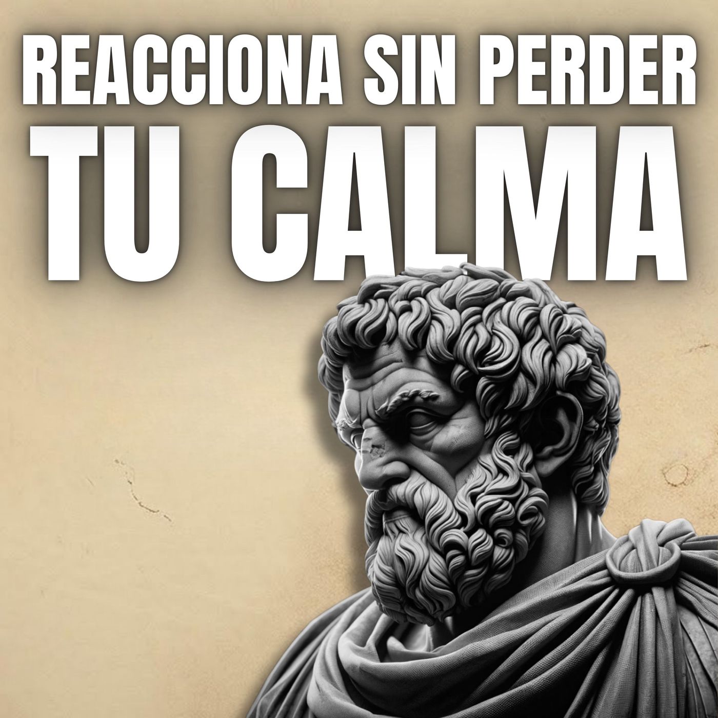 Estoicismo para Ganadores