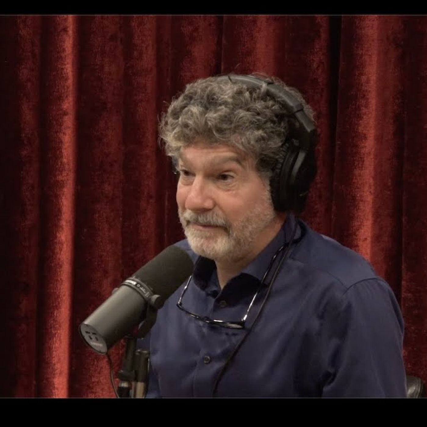 Joe Rogan Experience _2198 - Bret Weinstein episode artwork