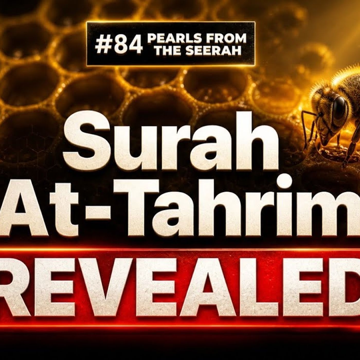 Pearls from the Seerah (84): The Prophet ﷺ Deserted his Wives episode artwork