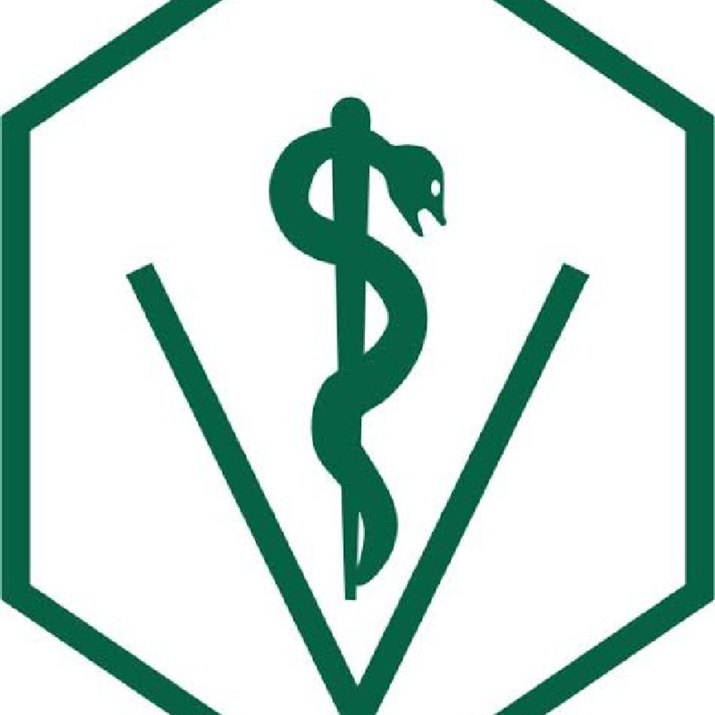 Cardiomiopatia dilatada episode artwork