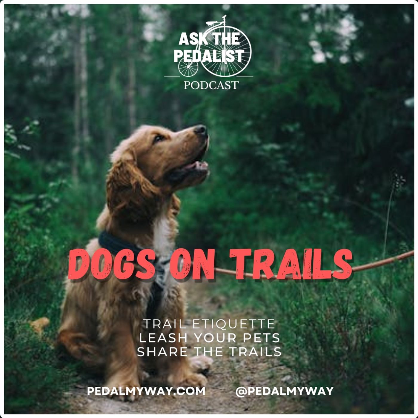 4 - Pets on trails: dogs off-leash and general trail etiquette