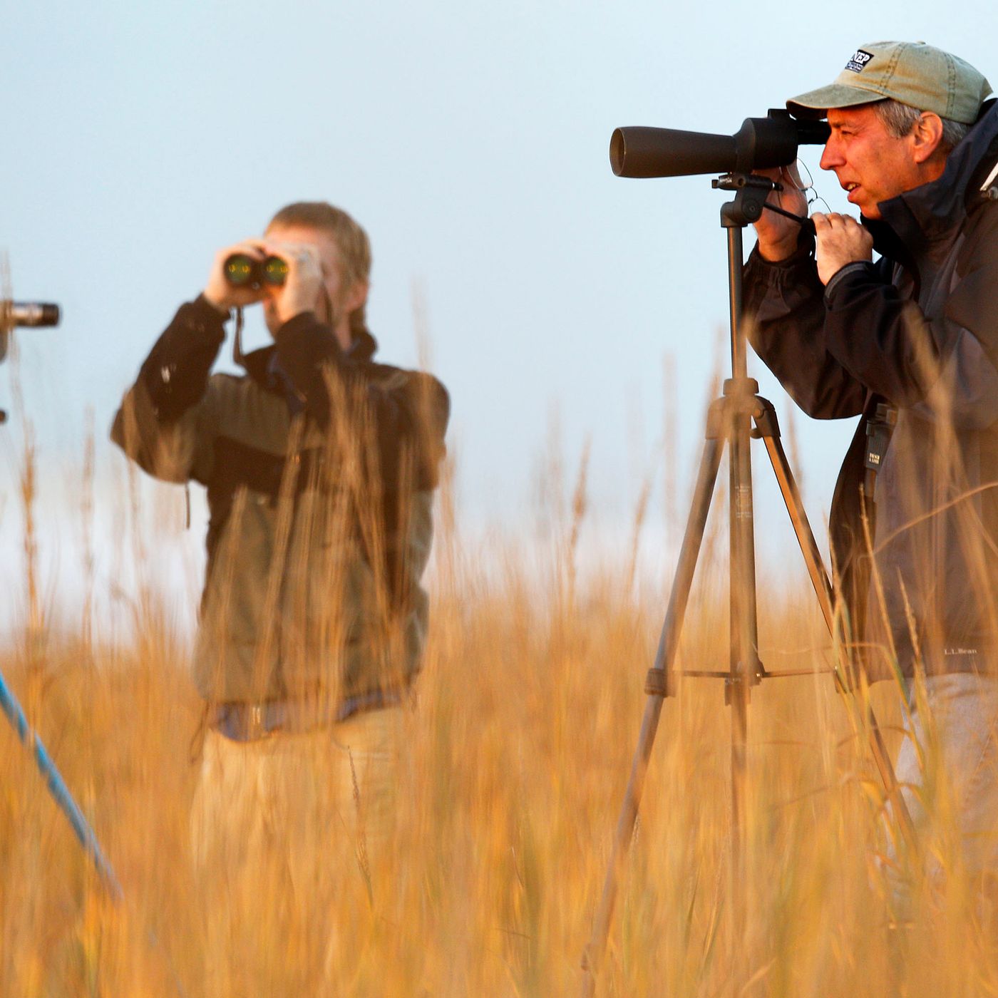 Bird Watching Isn't Just For Old People