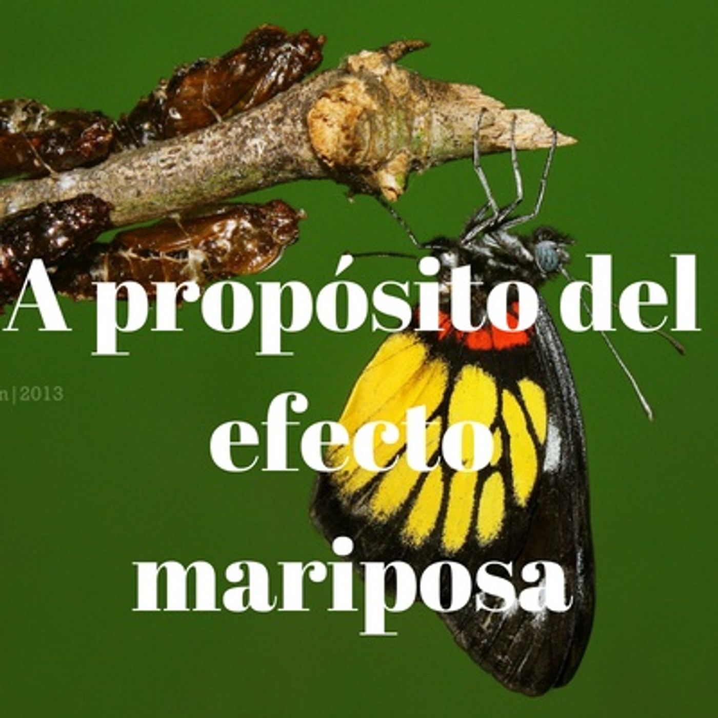 De víctima a protagonista