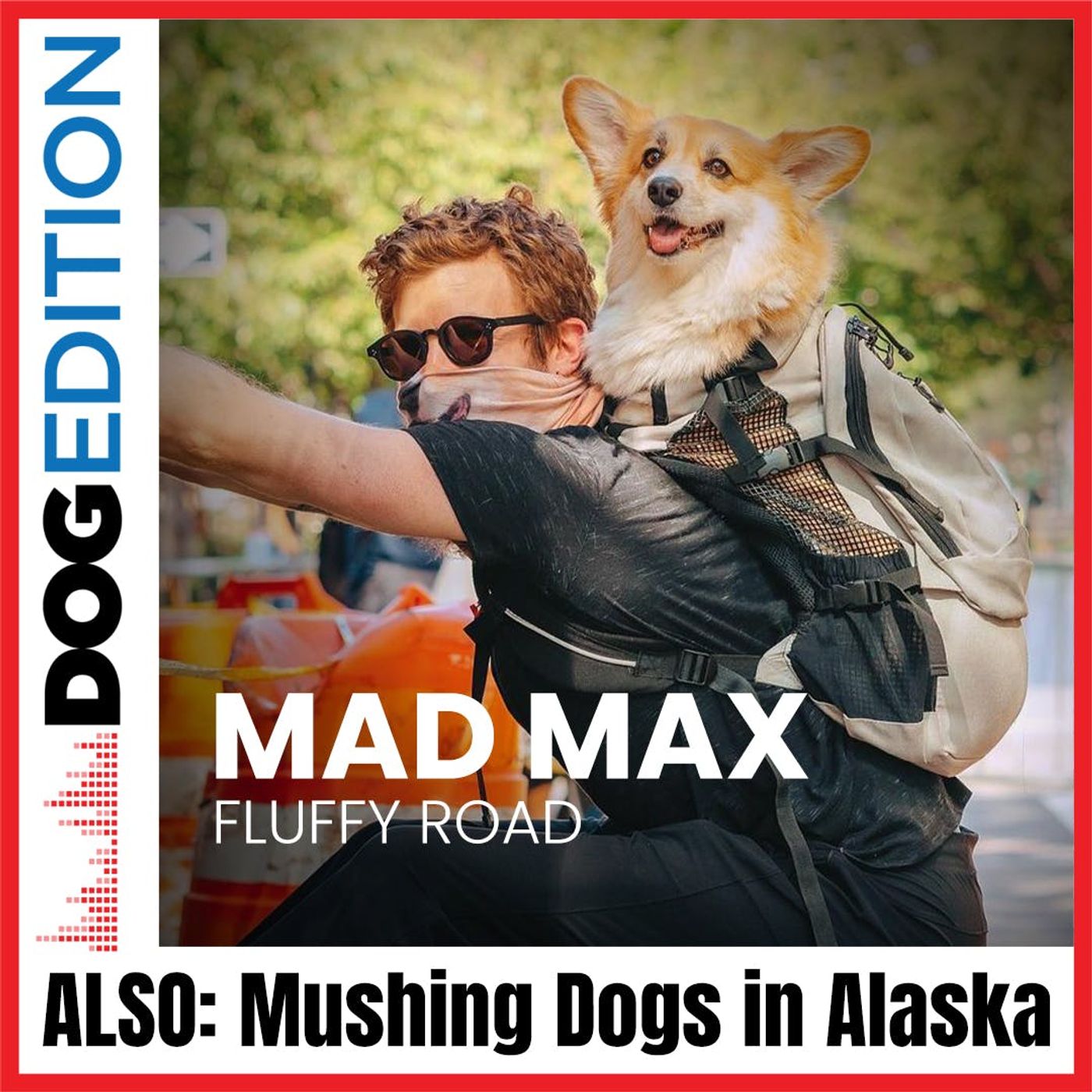 Dog Edition