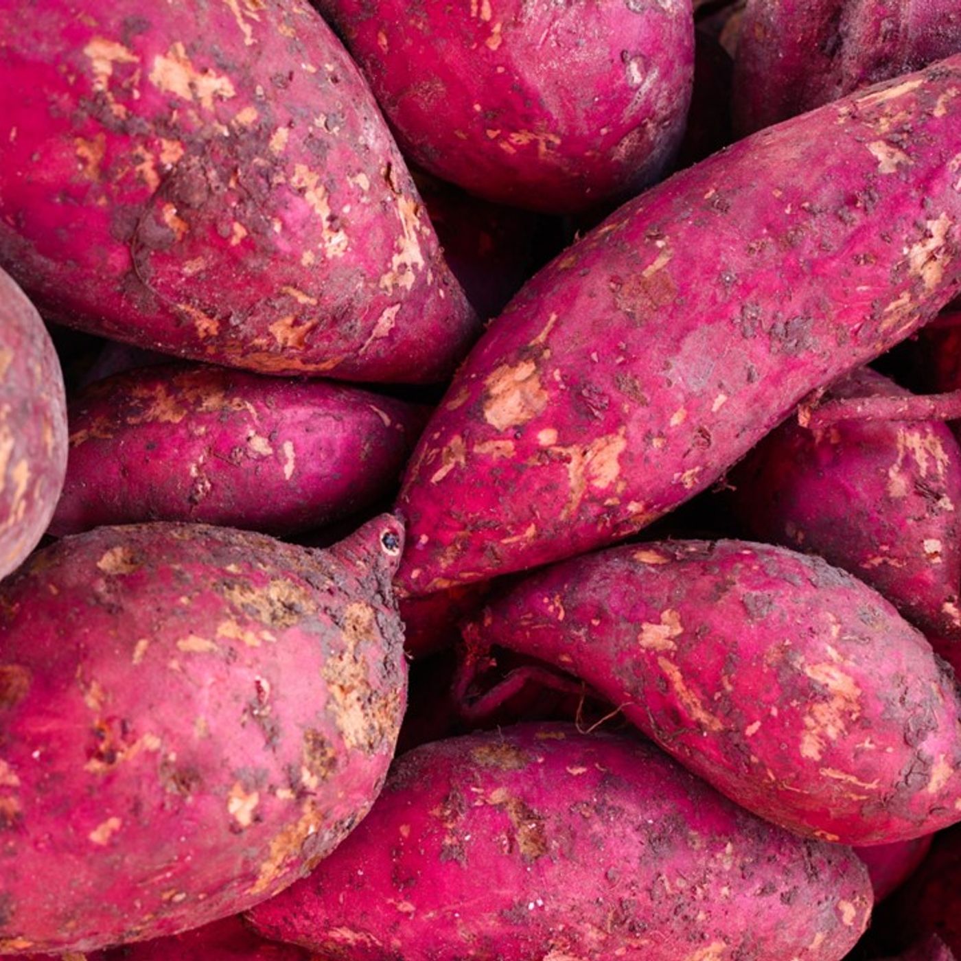 BBCast Agro