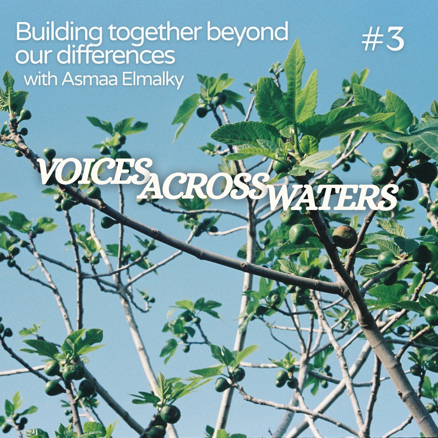Building together beyond our differences episode artwork