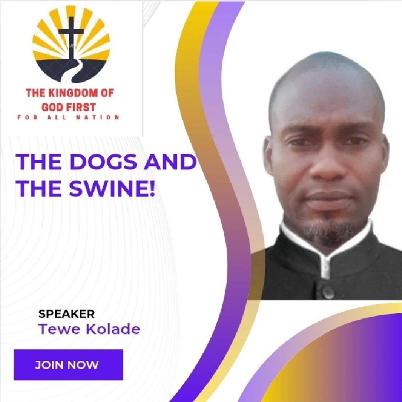 THE DOGS AND THE SWINE!