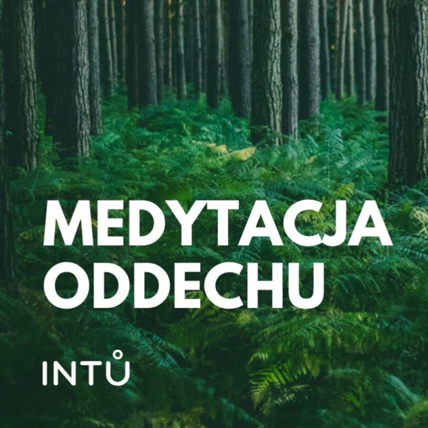 Medytacja oddechu - INTU