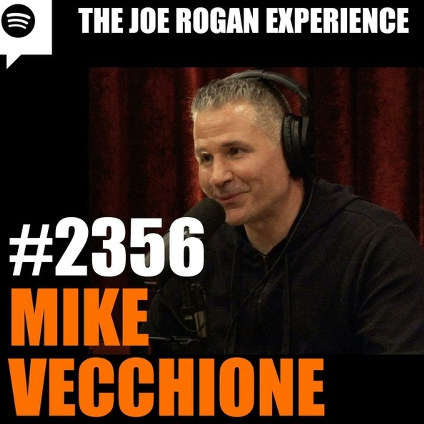 Joe Rogan Experience #2356 - Mike Vecchione episode artwork