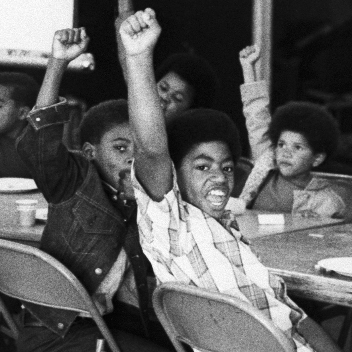 Rebels with a Cause: The Black Panther Party and Socialism in Practice episode artwork