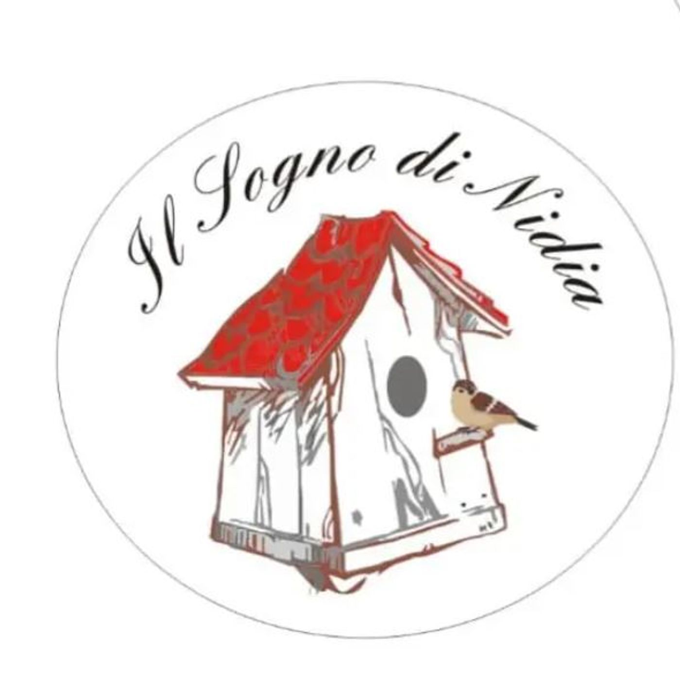 E’ nata l’associazione “Il sogno di Nidia”, accoglierà i ragazzi disabili episode artwork