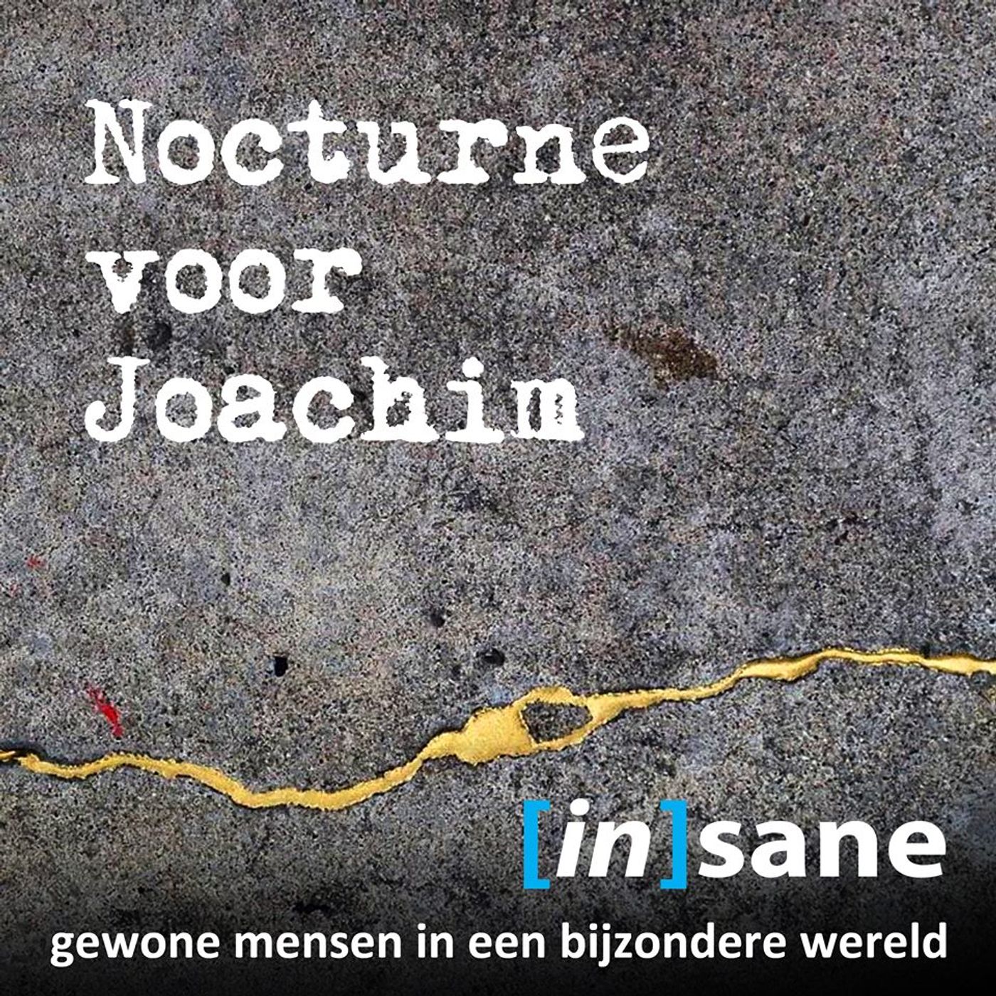Psychische kwetsbaarheid: Nocturne voor Joachim episode artwork