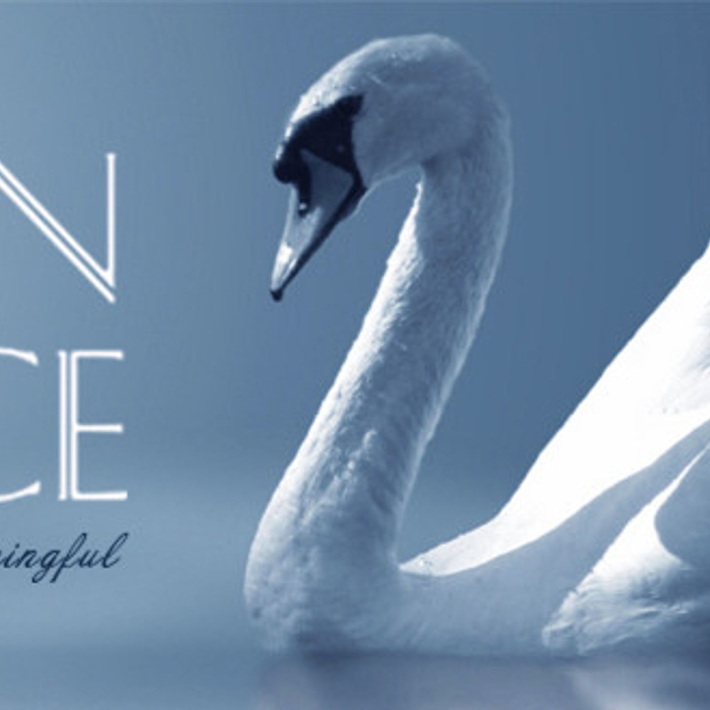 Canon Hospice Health Hour