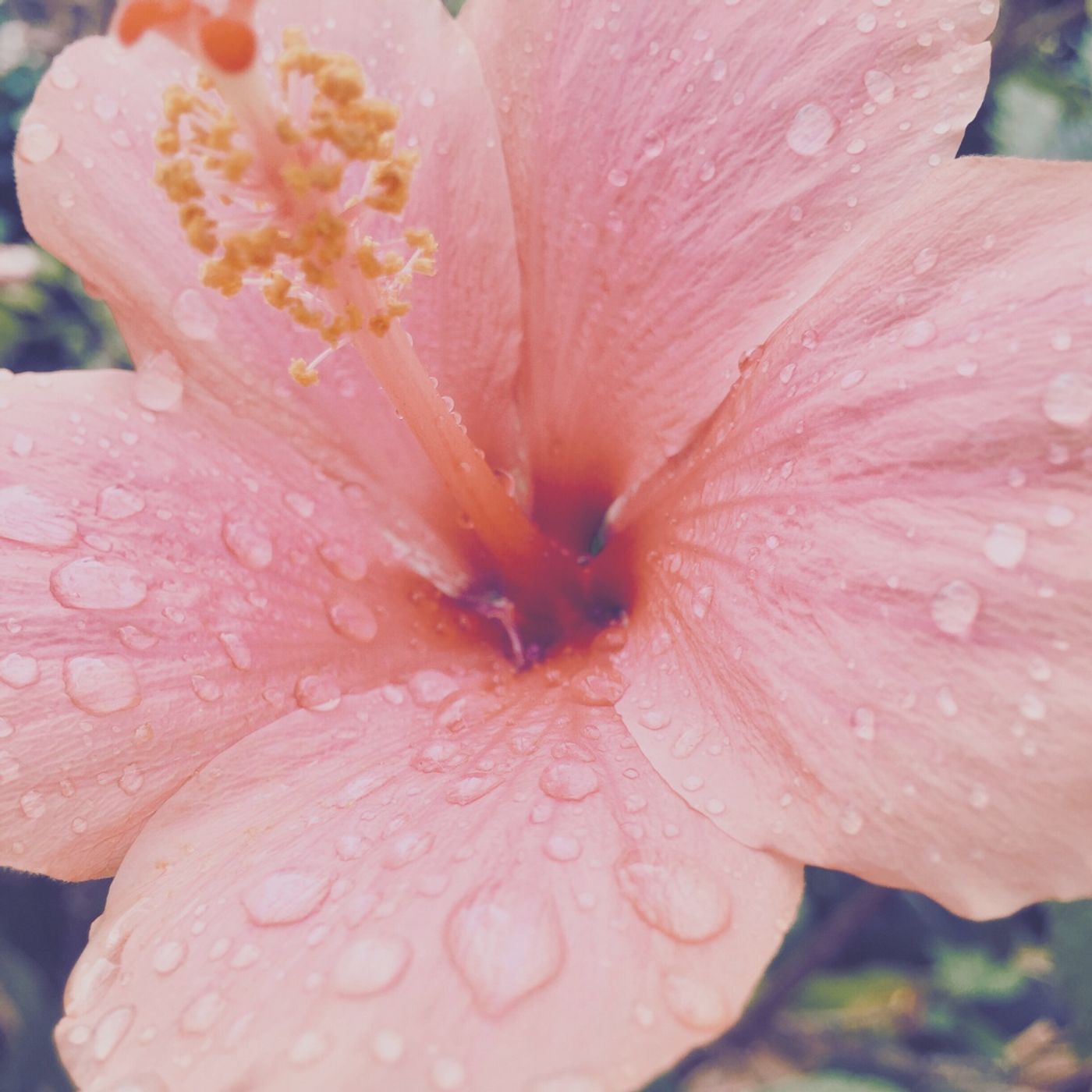 Épisode 152 | Méditation des 5 sens – Renouer avec la présence au quotidien