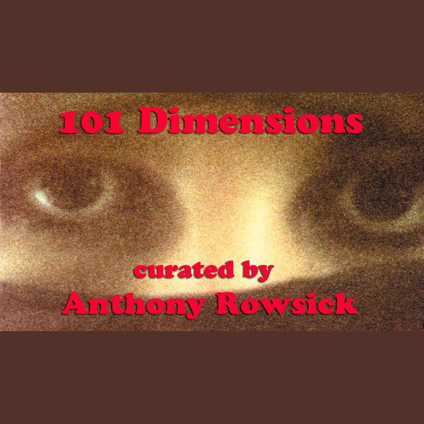 101 Dimensions - December 2021