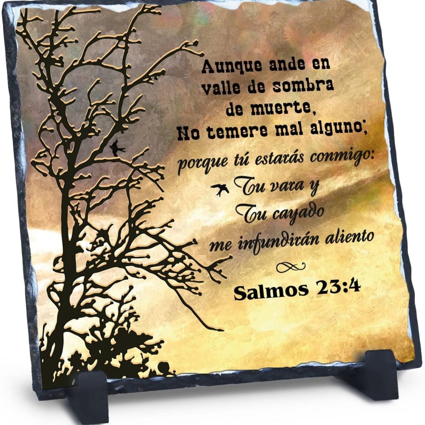 Proyecto hay vida en Jesús