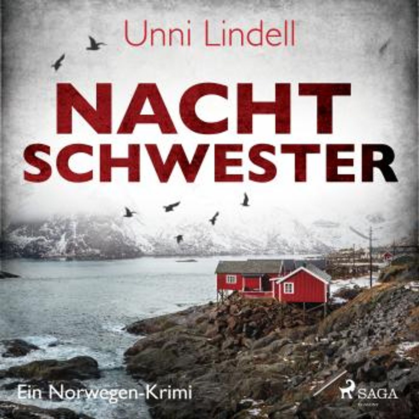 [German] - Nachtschwester - Ein Norwegen-Krimi by Unni Lindell episode artwork