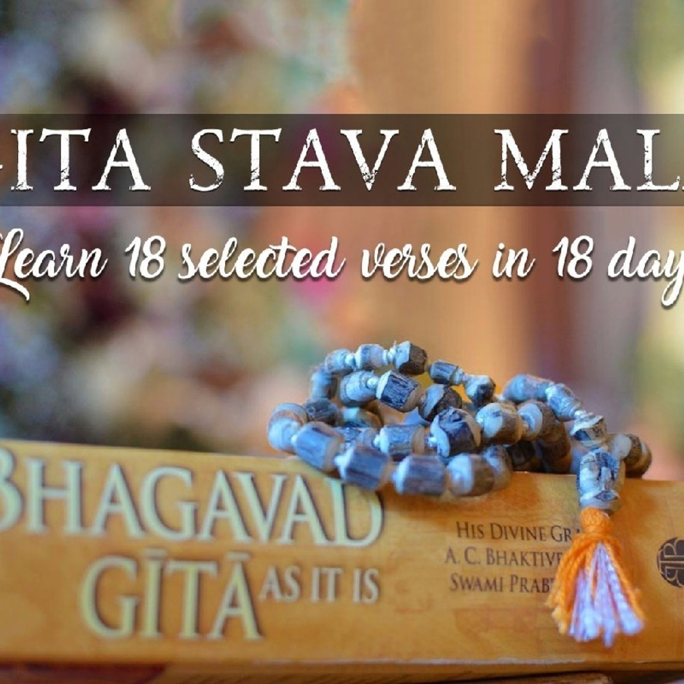 Episode 8- Gita Stava Mala thumbnail