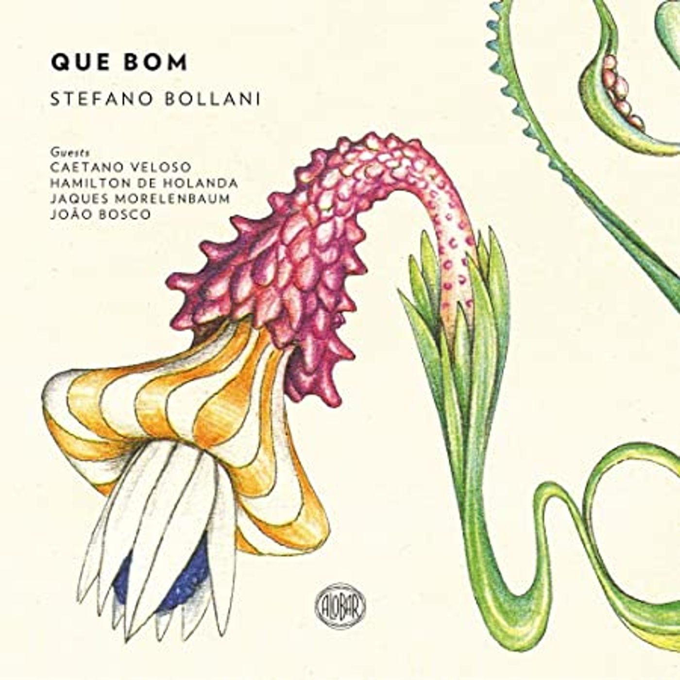 BOLLANI DAY