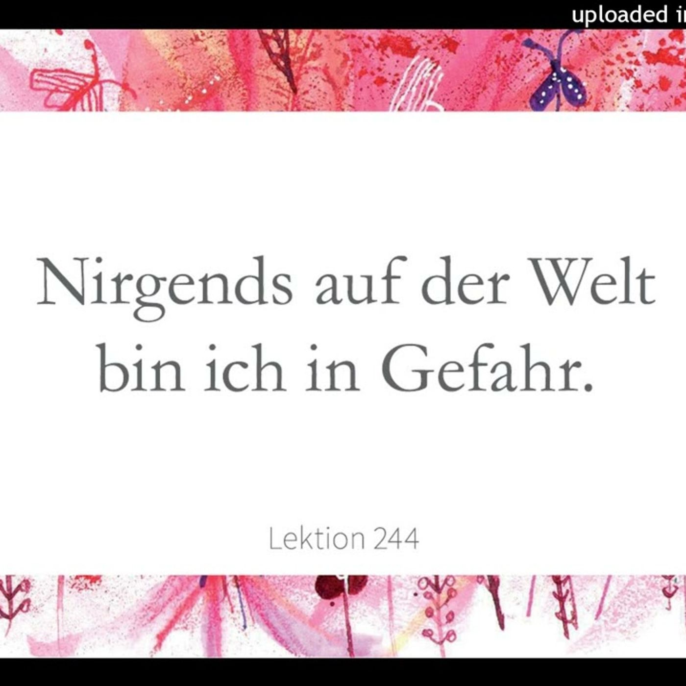 Simone Fugger