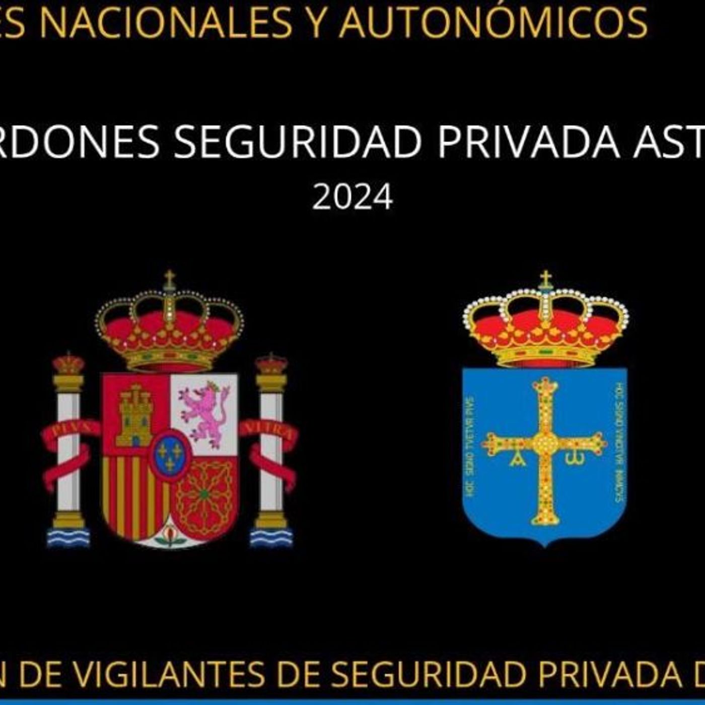 E30 Los vigilantes privados de Asturias convocan sus galardones de Seguridad Privada episode artwork