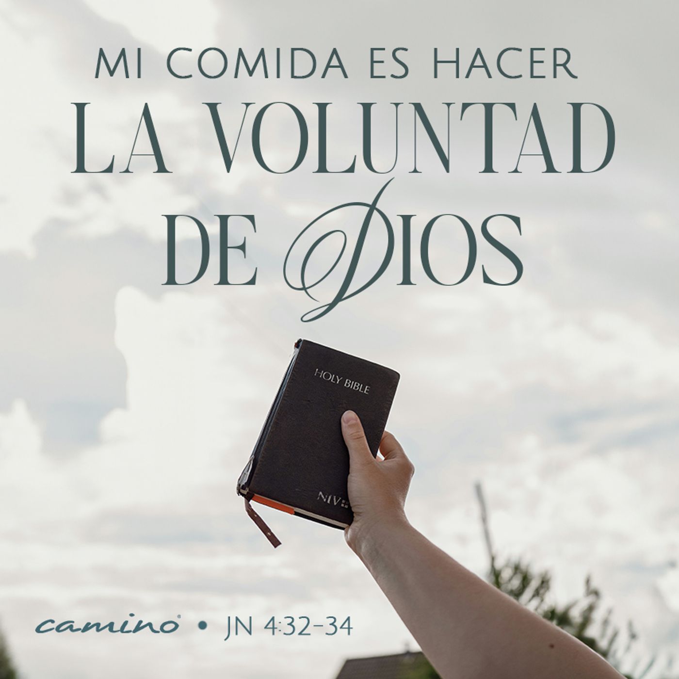 Oración 9 de julio (Mi comida es hacer la voluntad de Dios) episode artwork