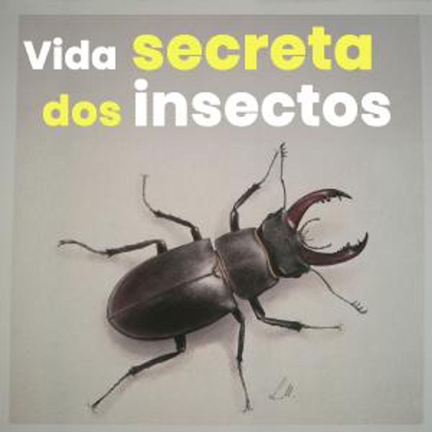 Efervesciencia