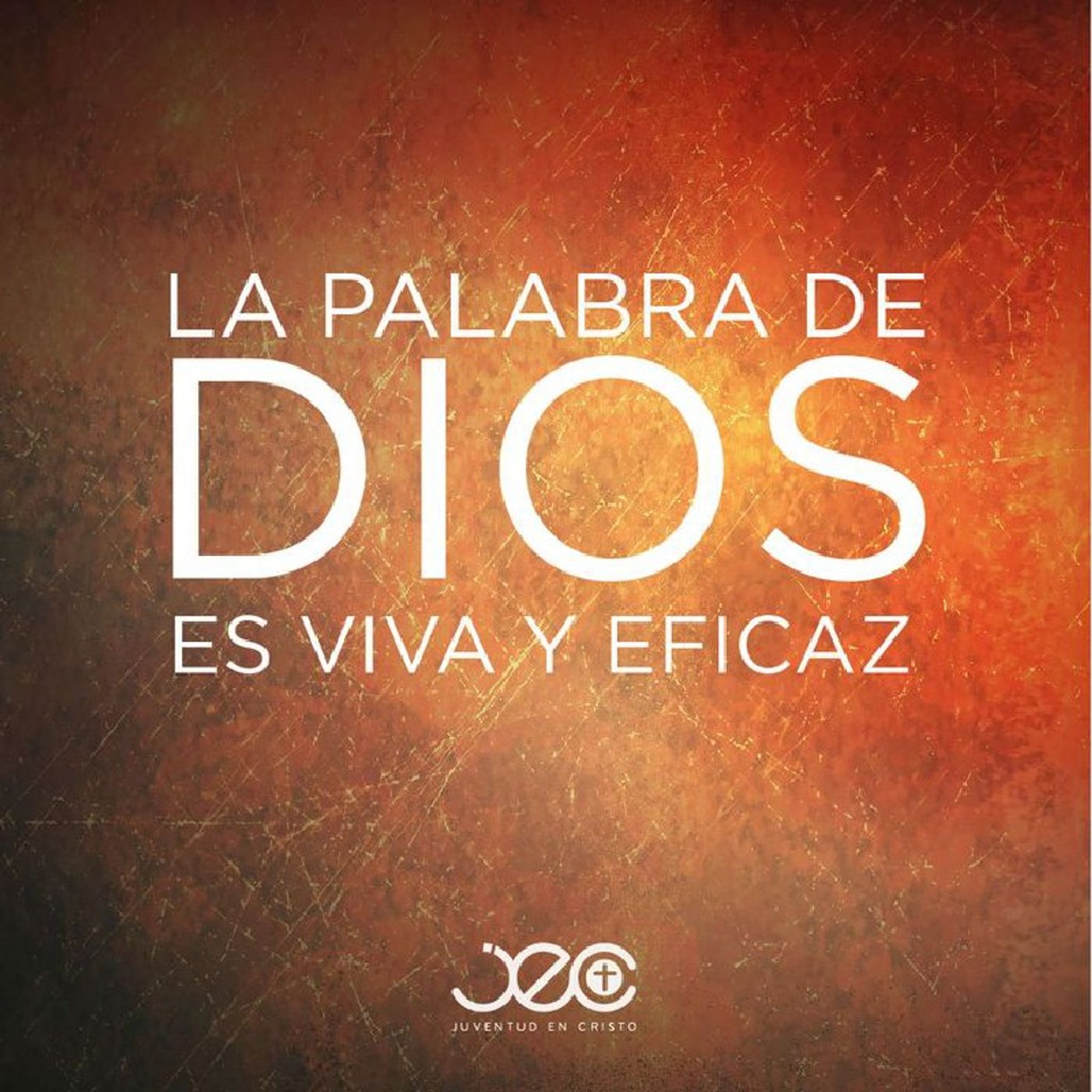 La Reflexión del Día "Palabra de Dios viva y eficaz en Jesucristo" episode artwork
