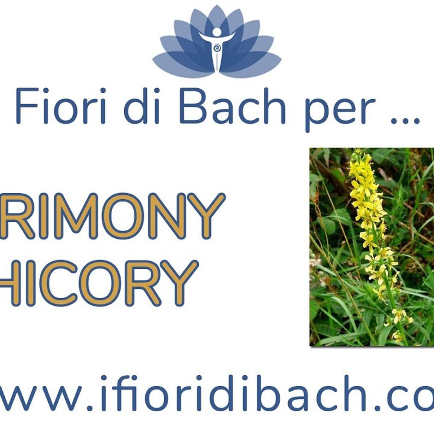 Agrimony e Chicory fiori di Bach episode artwork