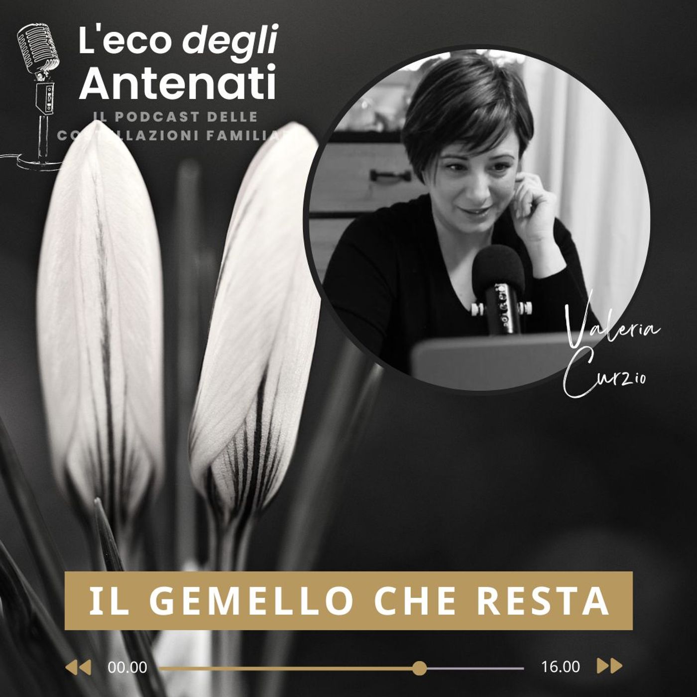 L\'eco degli Antenati
