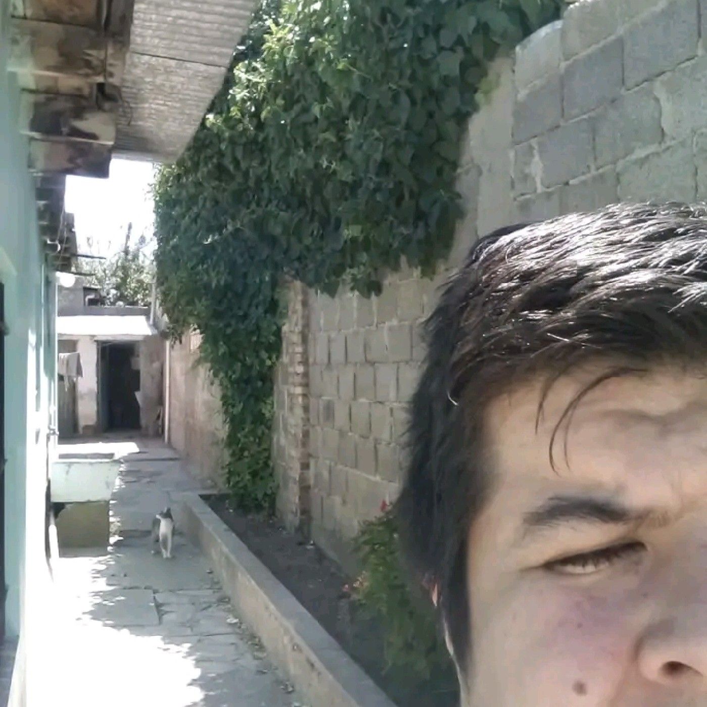 Huellas de amigos