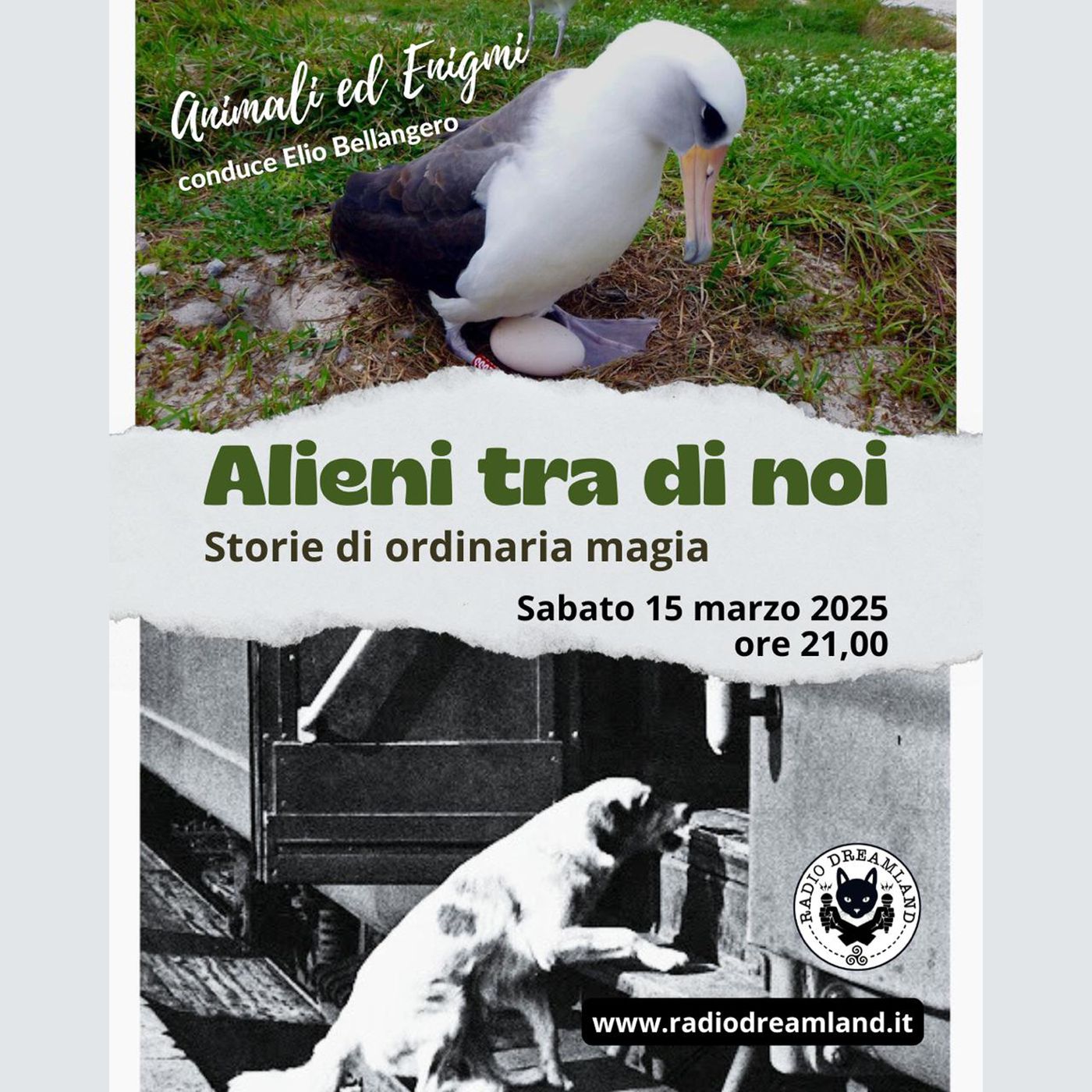 Alieni tra noi! episode artwork