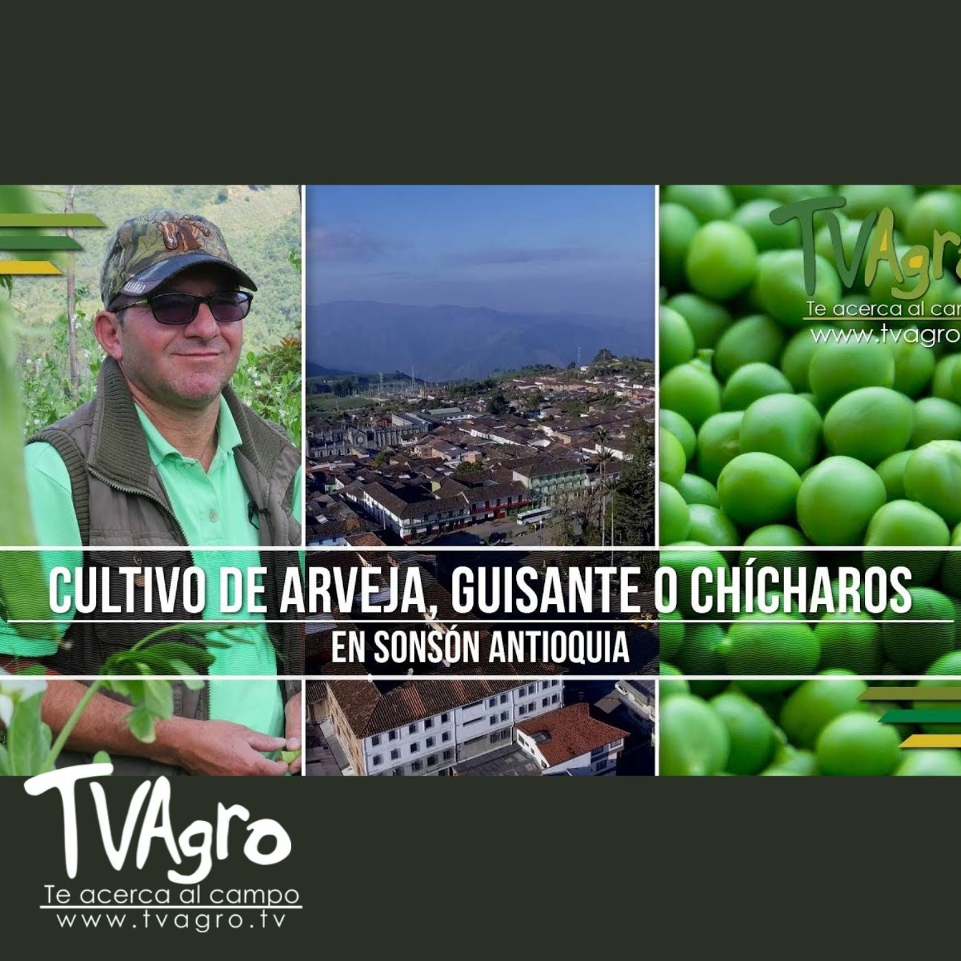 TV AGRO
