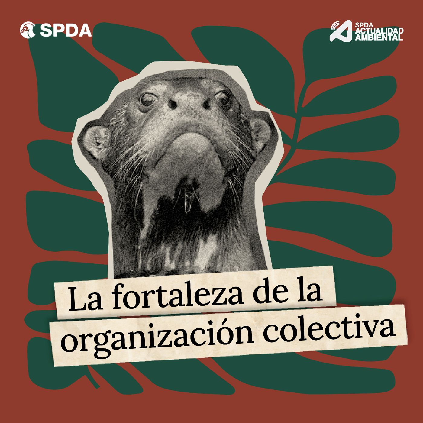 E1. La fortaleza de la organización colectiva episode artwork